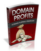 Thumbnail DOMAIN PROFITS DOMAIN FLIPPING STRATEGIES