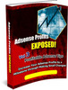 Thumbnail Adsense Profits Exposed With MRR