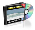 Thumbnail Tropical Waves mp3