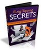 Thumbnail Blog Flipping Secrets  Video Ebook and Video