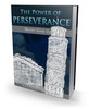 Thumbnail The Power Of Perseverance With Private Label Rights