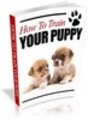 Thumbnail How to Train Your Puppy with Private Label Rights