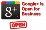 Thumbnail Google + Business Blueprint with PLR