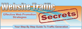 Thumbnail Website traffic secrets