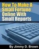 Thumbnail How to make a small fortune online with small reports
