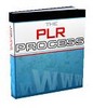 Thumbnail The PLR Process