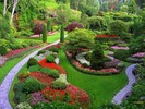 Thumbnail LANDSCAPE GARDENING-Beautifies and Increases The Value Thumbnail LANDSCAPE GARDENING-Beautifies and Increases The Value