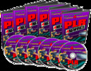 Thumbnail PLR Mastery For Internet Marketers