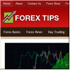 Thumbnail Forex Tips ready made niche website