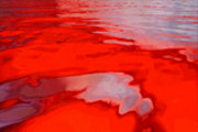 Thumbnail VIDEO-FUEL.COM - 0131 - Bloody Waters