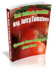 Thumbnail Your Guide To Growing Big, Juicy Tomatoes: Secrets Every Gardener Must Know!
