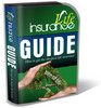 Thumbnail Life Insurance PLR Website Templates Pack