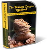 Thumbnail Bearded Dragon Website Template Plr Pack Thumbnail Bearded Dragon Website Template Plr Pack