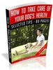 Thumbnail How To Take Care Of Your Dogs Health MRR Ebook
