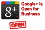Thumbnail The Google+ Business Blueprint Unrestricted PLR Ebook
