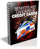 Thumbnail Benefits And Dangers Of Credit Card PLR Listbuilding Pack