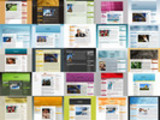 Thumbnail 100 WordPress Themes plr