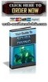 Thumbnail Your Guide To Scuba Diving