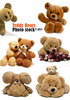 Thumbnail teddy bear photos
