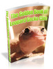 Thumbnail The Golden Book of Leopard Gecko Care