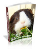 Thumbnail The Ultimate Guinea Pig Handbook