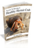 Thumbnail Secrets to Raising a Healthy Hermit Crab - Definitive Guide