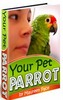 Thumbnail Your Pet Parrot