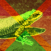 Thumbnail Alien Reggae
